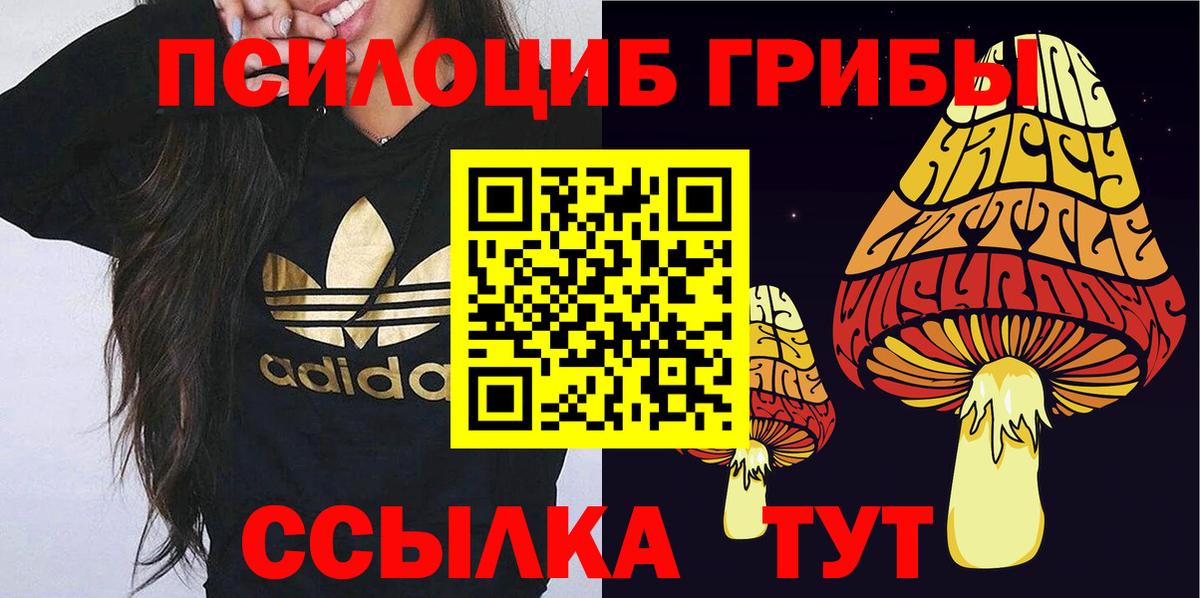 Псилоцибиновые грибы мицелий Мурино