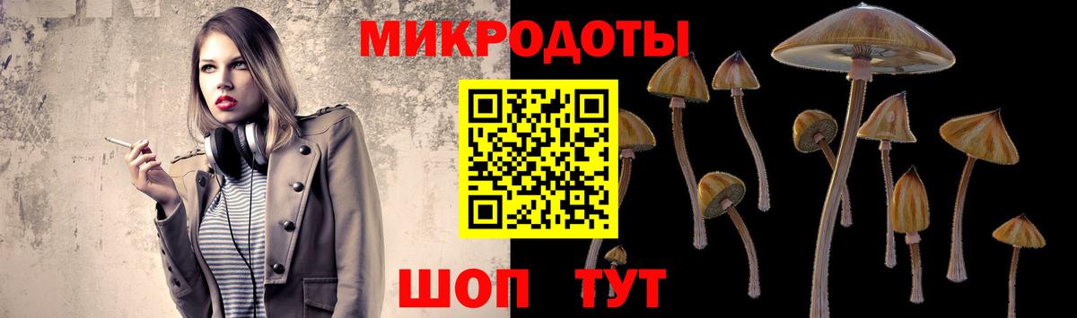 Псилоцибиновые грибы мицелий  Вход с VPN  Мурино 